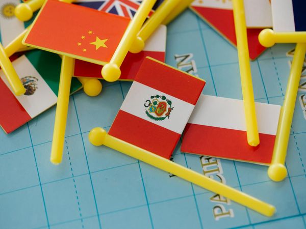 Serene landscape representing internal peace and vitality